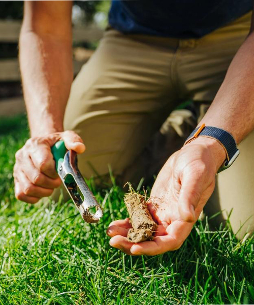 Sunday Soil Test Kit & Analysis