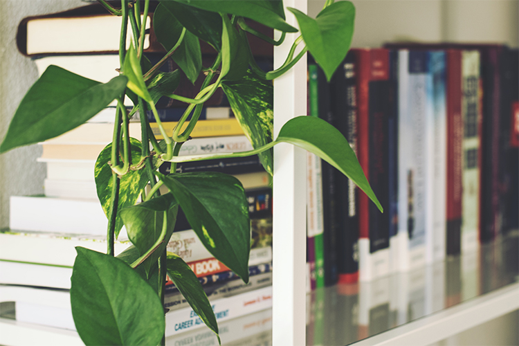 The Best Books to Read for Personal Growth