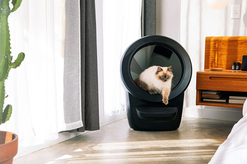 Litter Robot Featured Image