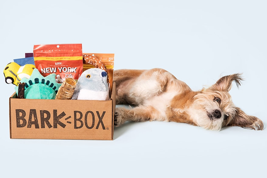 Barkbox Featured Image