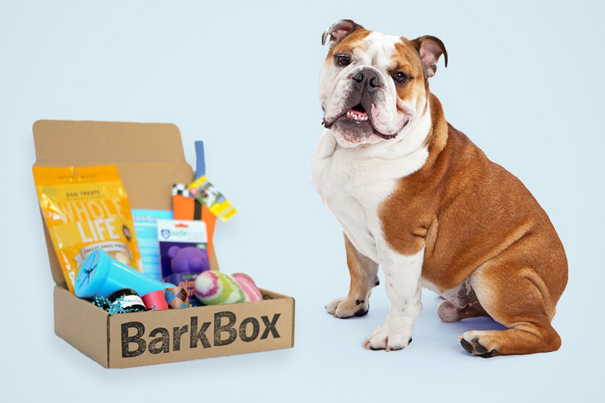 Barkbox New Featured Image